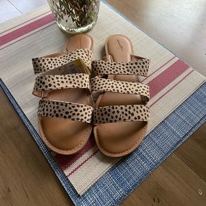 UNIVERSAL THREAD Leopard Print Sandals/Slides